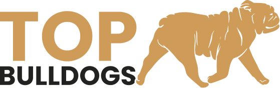 TOP bulldog